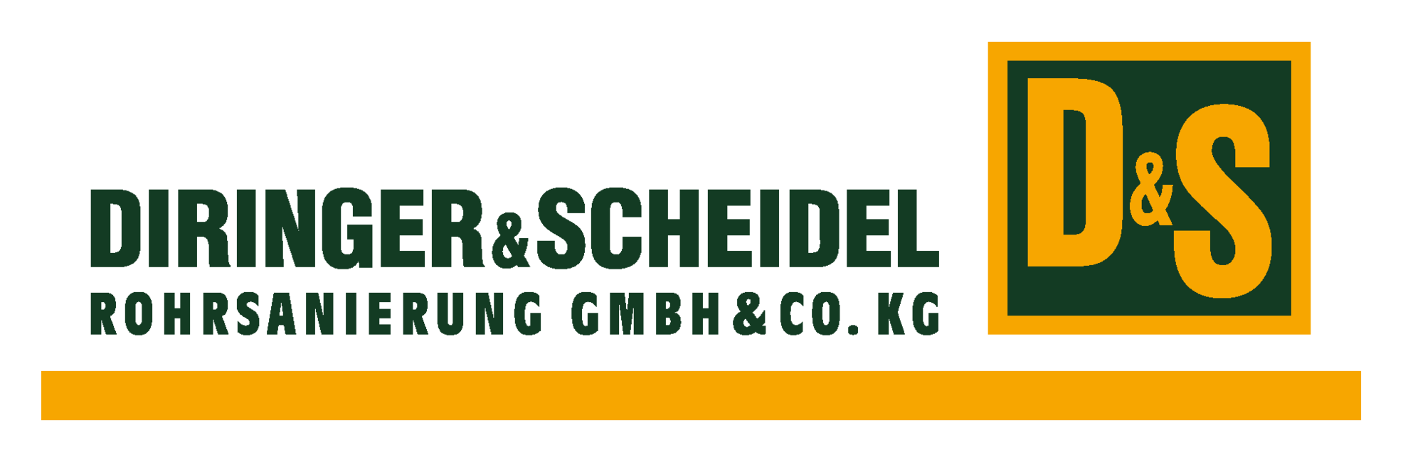 Logo DIRINGER & SCHEIDEL Rohrsanierung